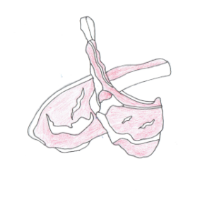 Chuletillas de cordero