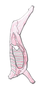 comprar medio cordero